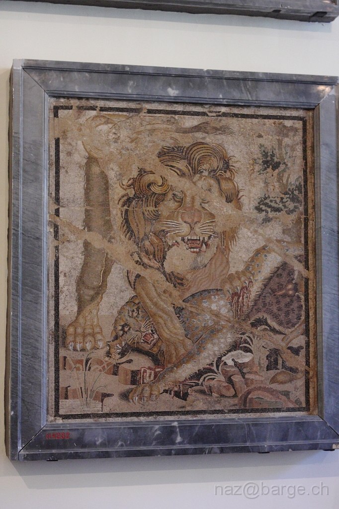 EOS 40D03_05_20120235.JPG